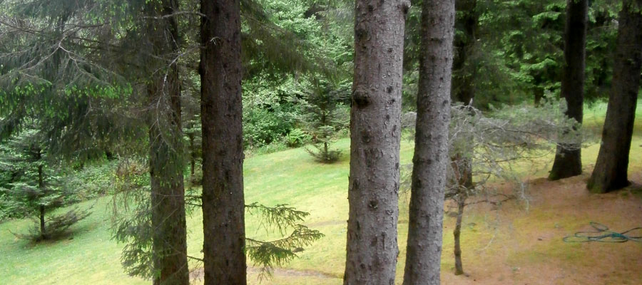 Palisades Condominiums, Lincoln City, Oregon