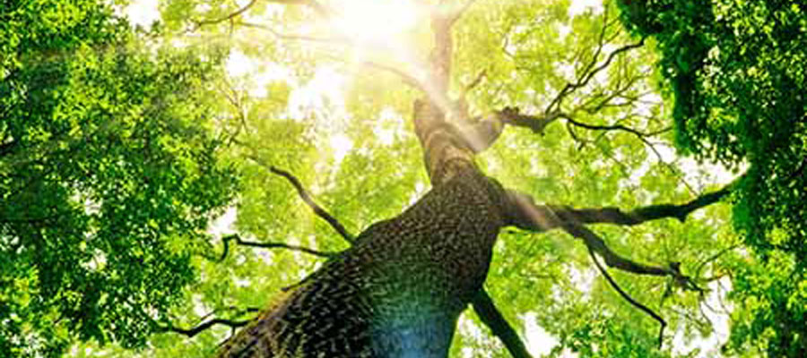 Palisades Condominiums, Lincoln City, Oregon