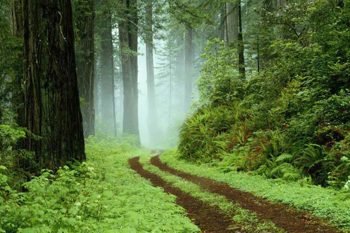 Palisades Condos beautiful scenery