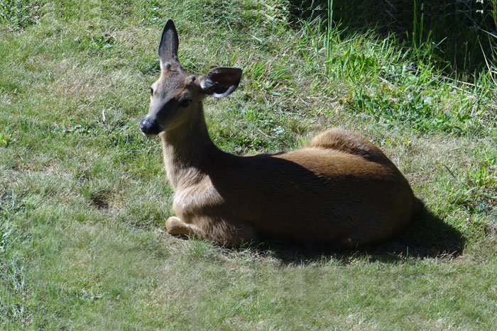 Palisades Condos beautiful scenery