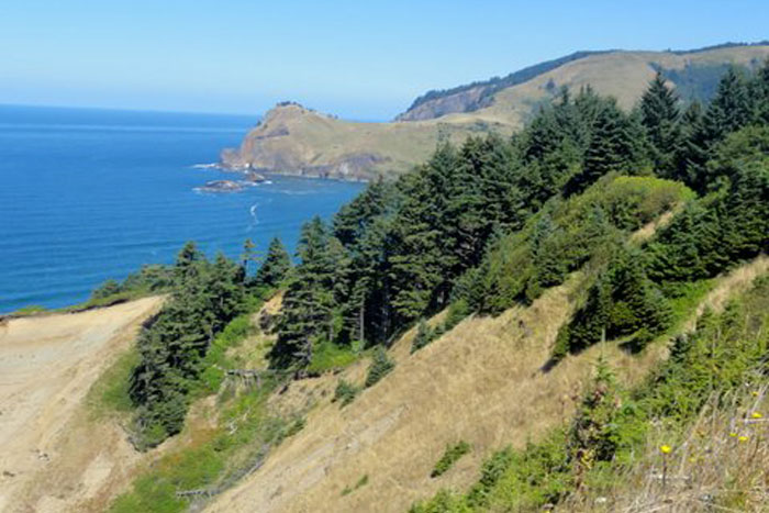 Palisades Condos beautiful scenery