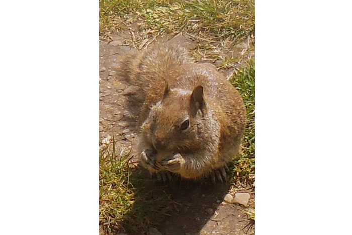 Palisades Condos beautiful scenery