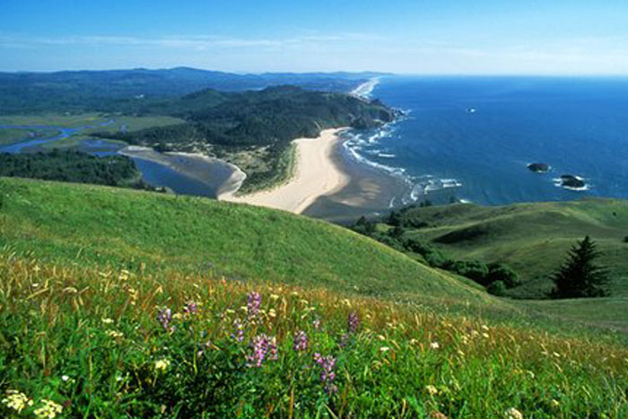 Palisades Condos nearby beaches