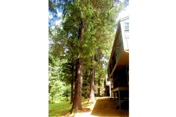 Palisades Condos Buildings and Landscaping